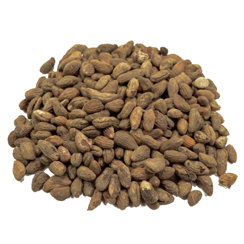 Voacanga africana zaden | 5 gram